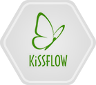 KiSSFLOW's case study image